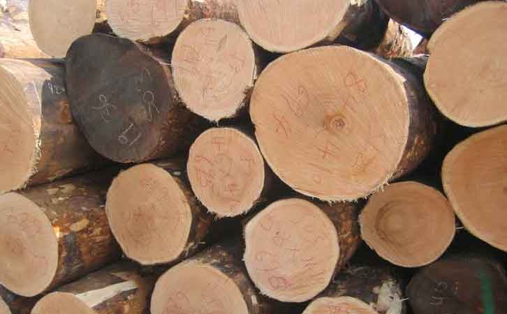 铁杉建筑工程木方